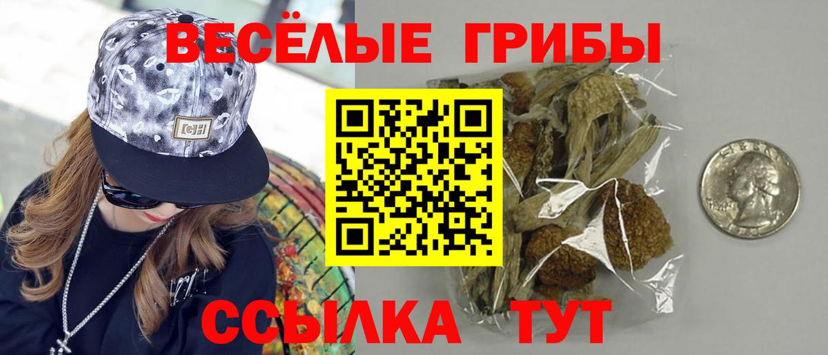 Галлюциногенные грибы GOLDEN TEACHER  Вход с VPN  Галлюциногенные грибы GOLDEN TEACHER  Лениногорск 